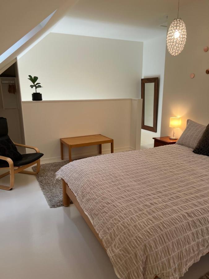 Beech Hill - Pet Friendly Holiday Home Tasman Eksteriør bilde