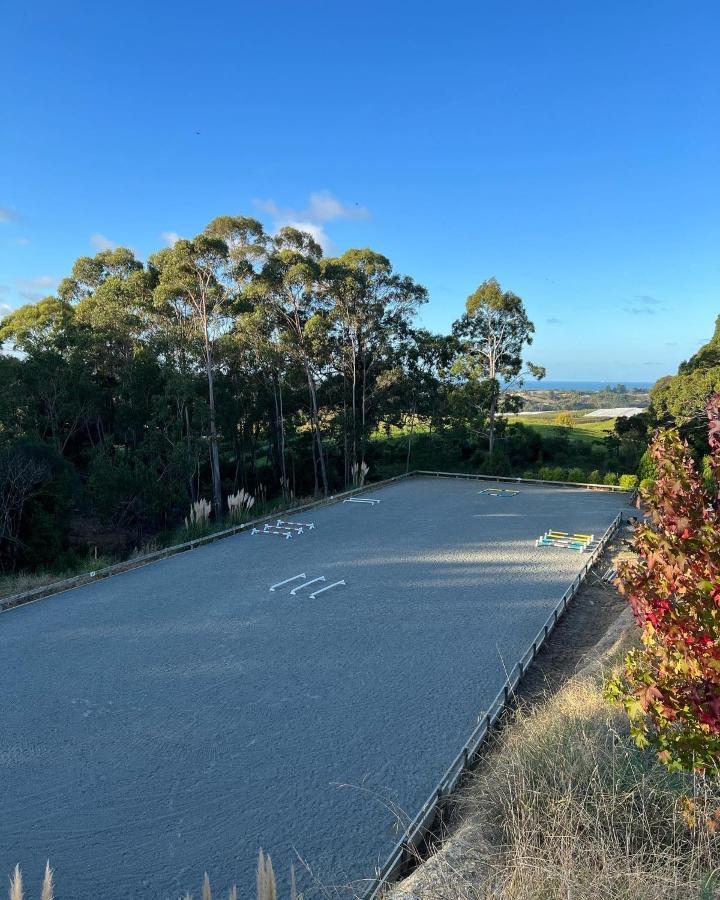 Beech Hill - Pet Friendly Holiday Home Tasman Eksteriør bilde