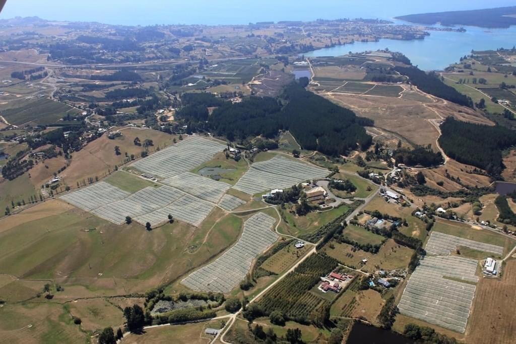 Beech Hill - Pet Friendly Holiday Home Tasman Eksteriør bilde