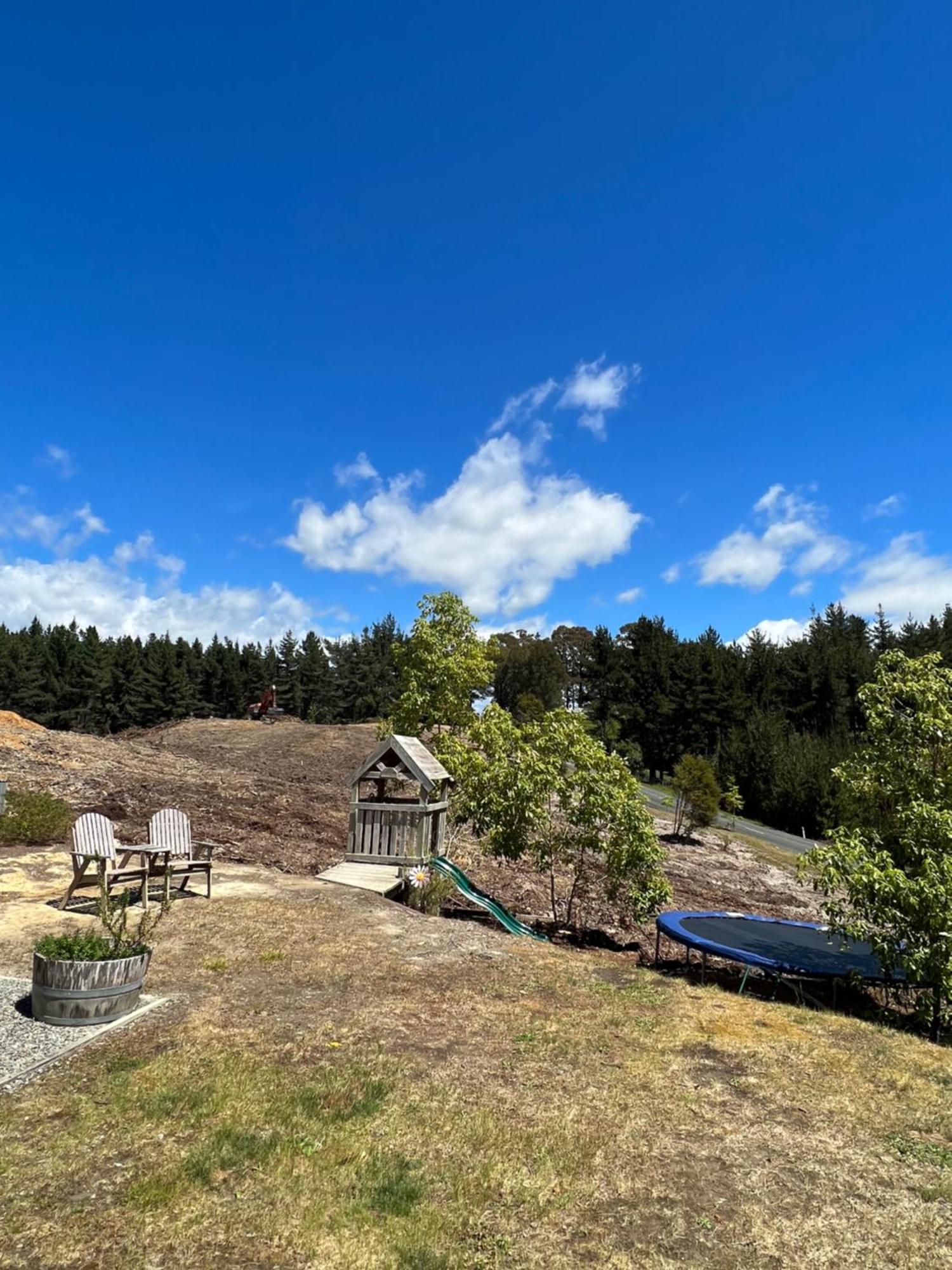 Beech Hill - Pet Friendly Holiday Home Tasman Eksteriør bilde